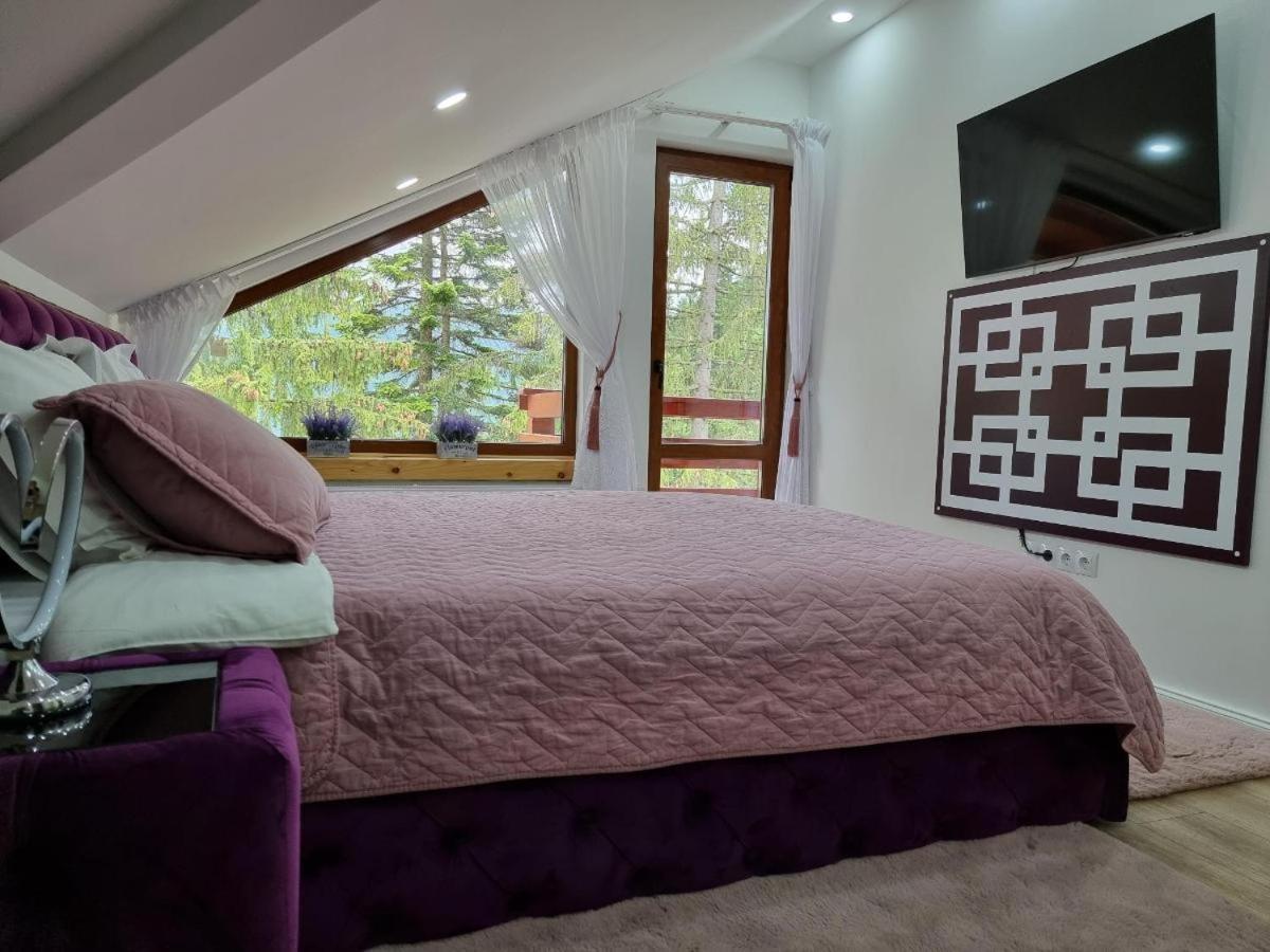 Kalinderu Luxury Ski Loft Буштені Екстер'єр фото